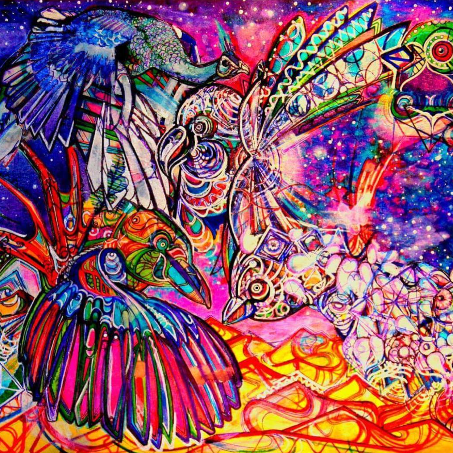 Birds of Paradise